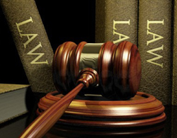 Estate Litigation